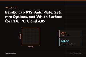 Diagram: build plate for the P1S, 256 by 256 mm, max bed temperature 100 C.