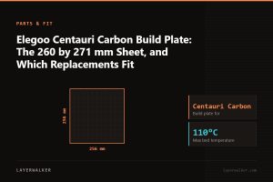 Diagram: build plate for the Centauri Carbon, 256 by 256 mm, max bed temperature 110 C.