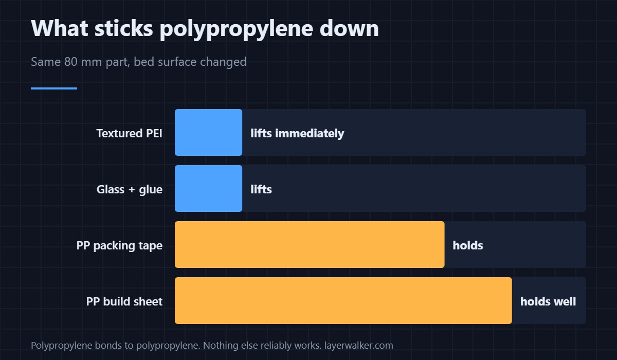 The same 80 mm PP part with the bed surface changed. Polypropylene bonds to polypropylene and to almost nothing else.