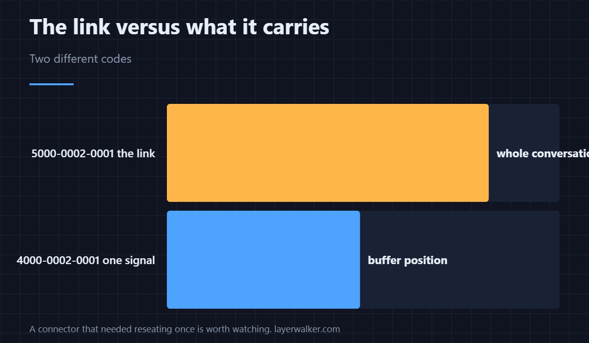 The link versus what it carries — Two different codes